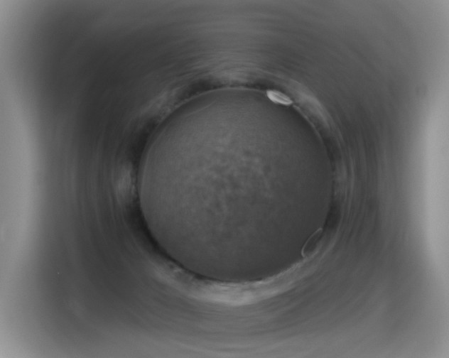 X0000115360029200911101206