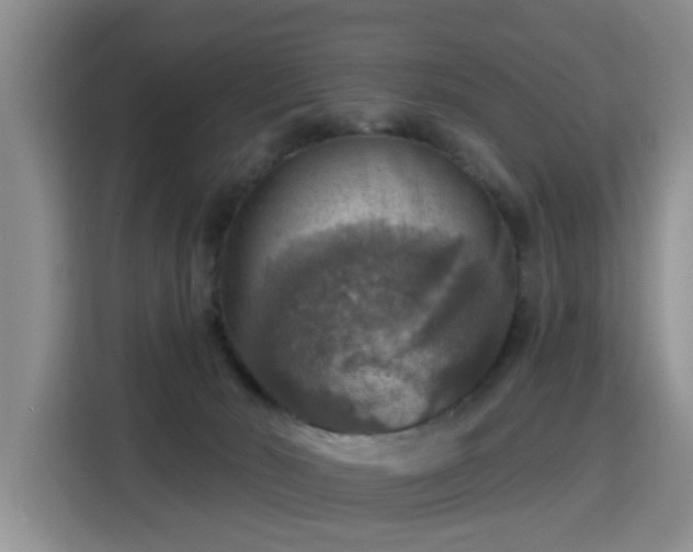 X0000115360030200911101206