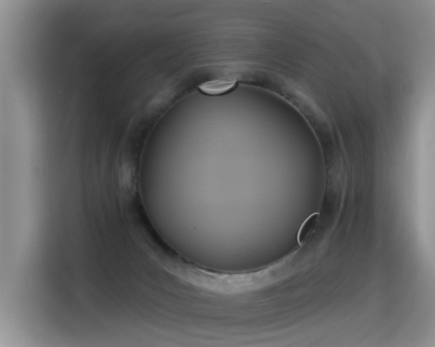 X0000115360031200911101206