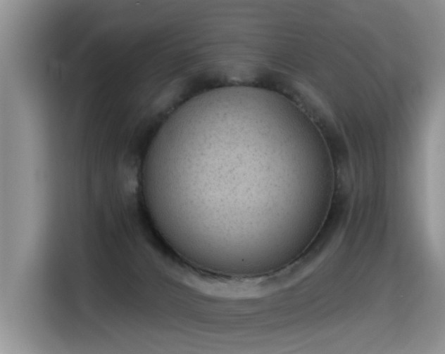 X0000115360032200911101206