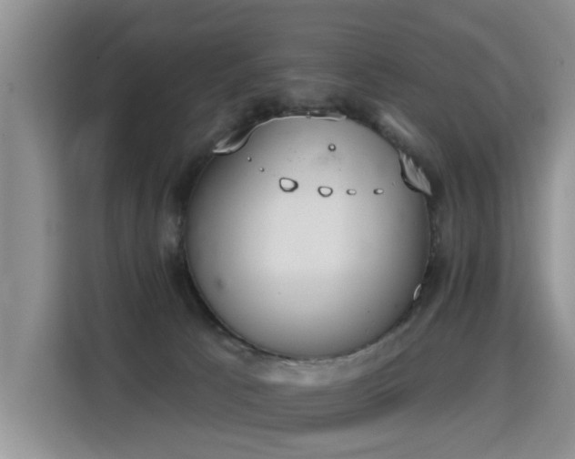 X0000115360033200911101206