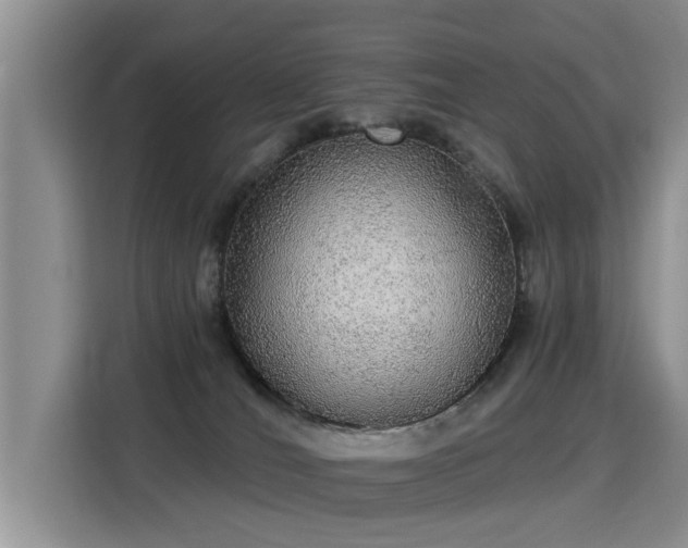 X0000115360036200911101206