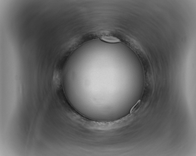 X0000115360037200911101206