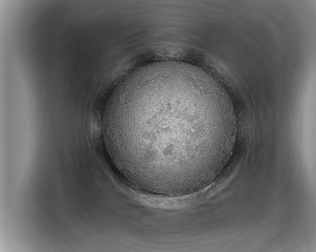 X0000115360040200911101206