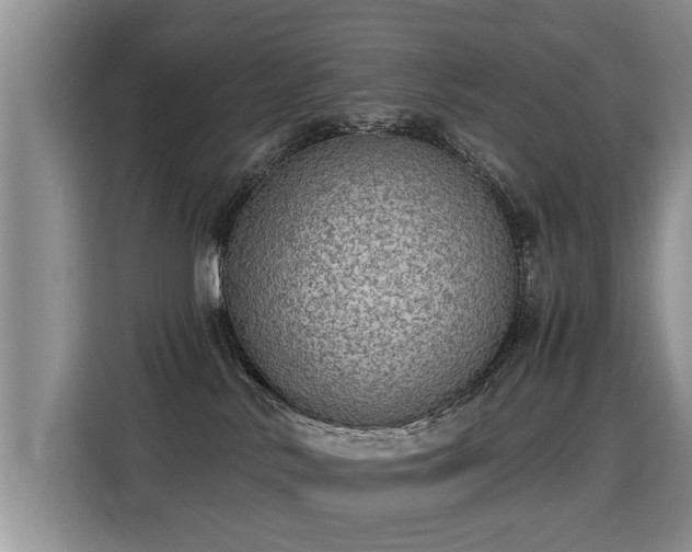 X0000115360042200911101206