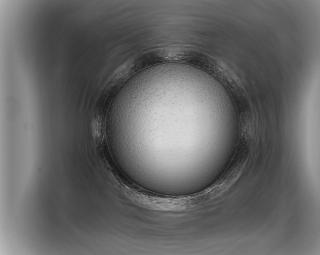 X0000115360044200911101206