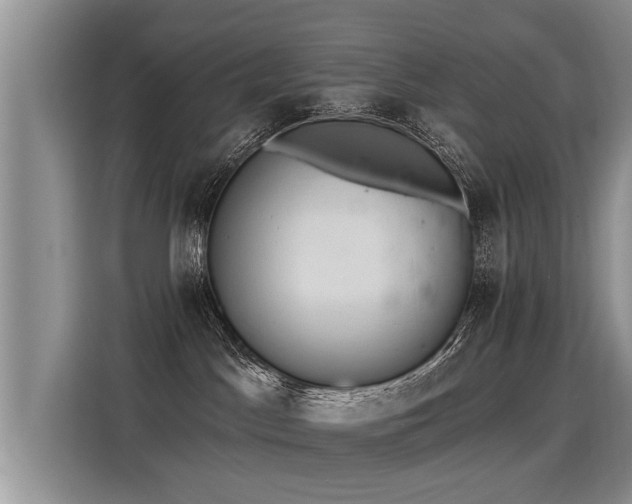 X0000115360045200911101206