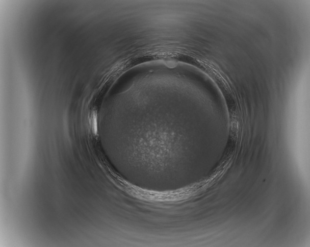X0000115360046200911101205