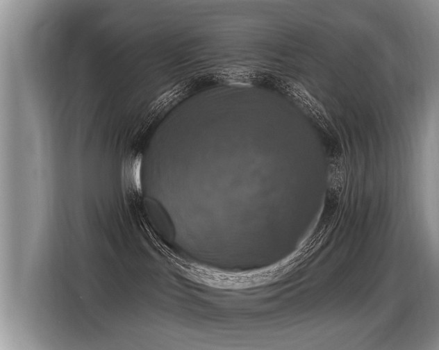 X0000115360047200911101205