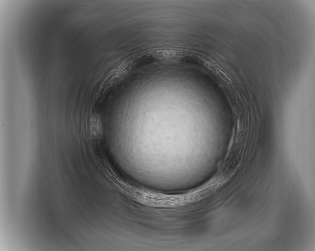 X0000115360048200911101205