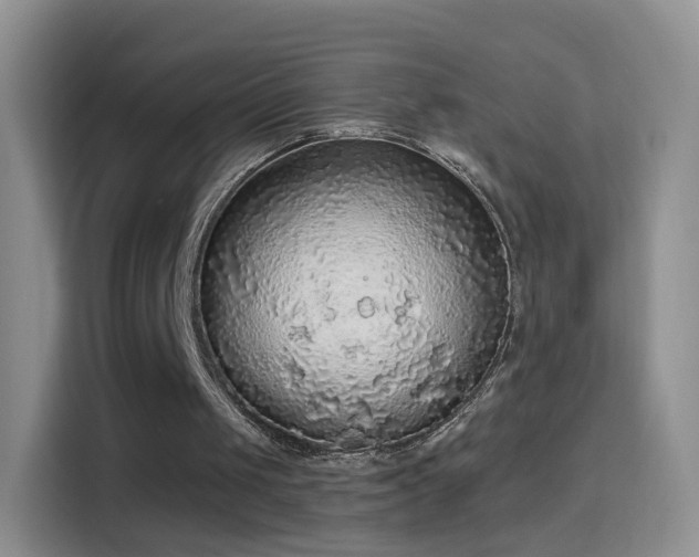 X0000115360049200911101205