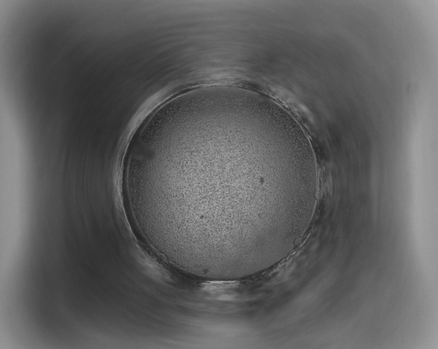 X0000115360051200911101205