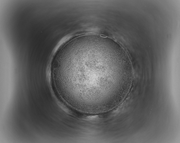 X0000115360054200911101205