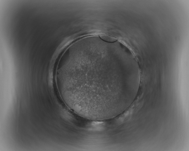 X0000115360055200911101205