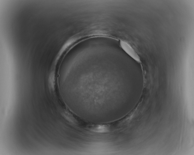 X0000115360056200911101205