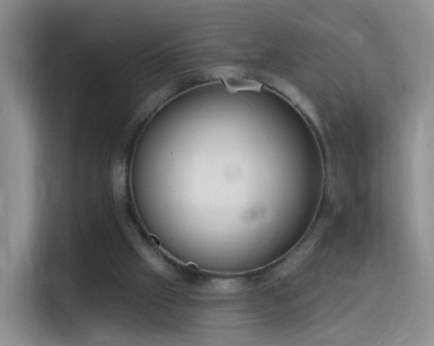 X0000115360057200911101205