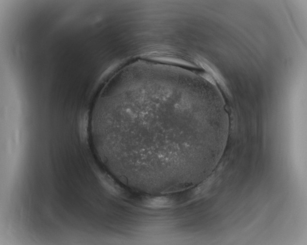 X0000115360058200911101205