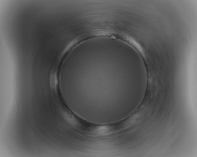 X0000115360059200911101205