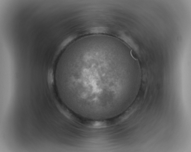 X0000115360060200911101205