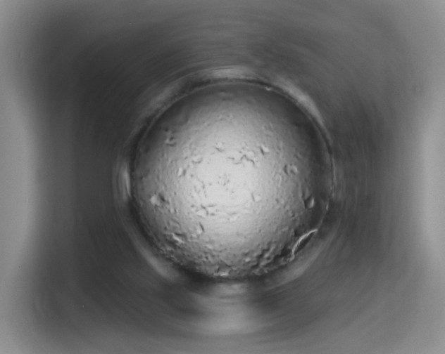 X0000115360061200911101205