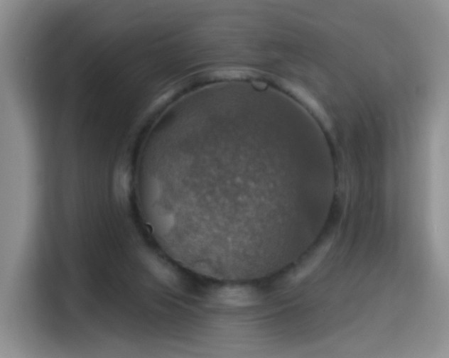 X0000115360063200911101205