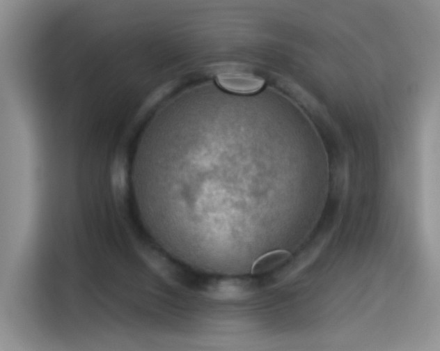 X0000115360064200911101205