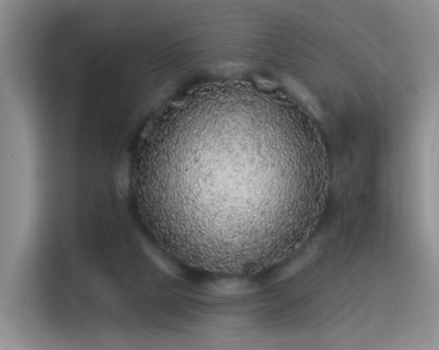 X0000115360065200911101205