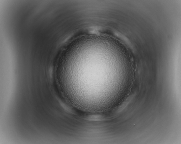 X0000115360066200911101205