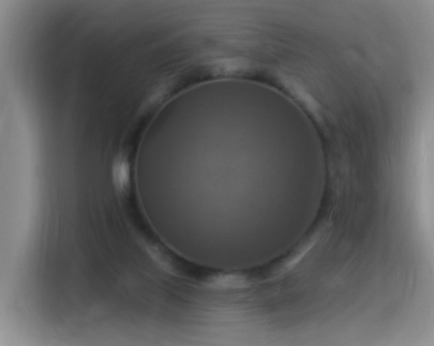 X0000115360067200911101205