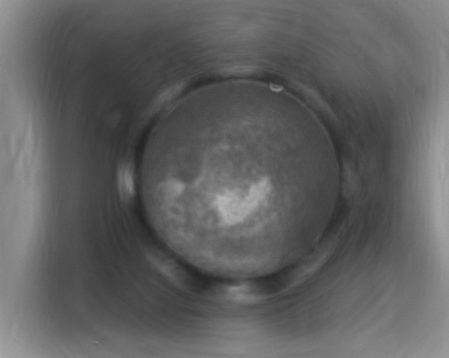 X0000115360068200911101205