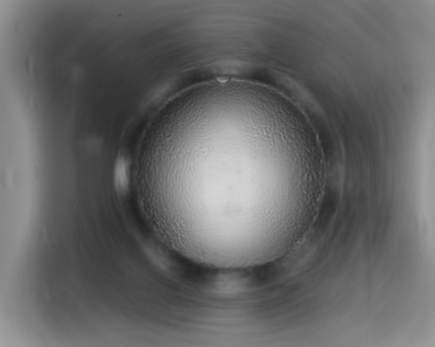 X0000115360070200911101205