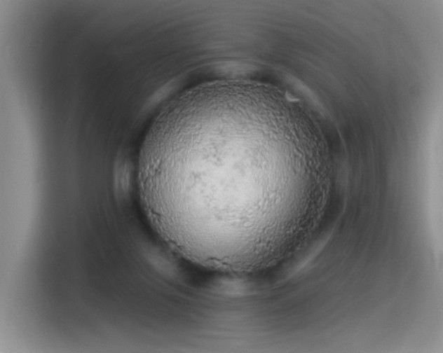 X0000115360071200911101205