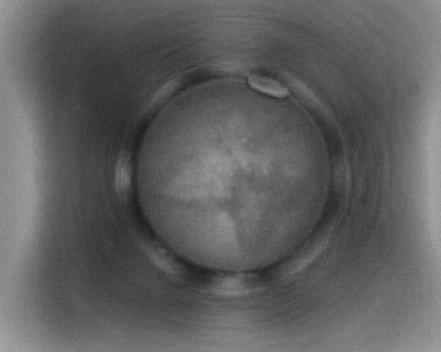 X0000115360072200911101205