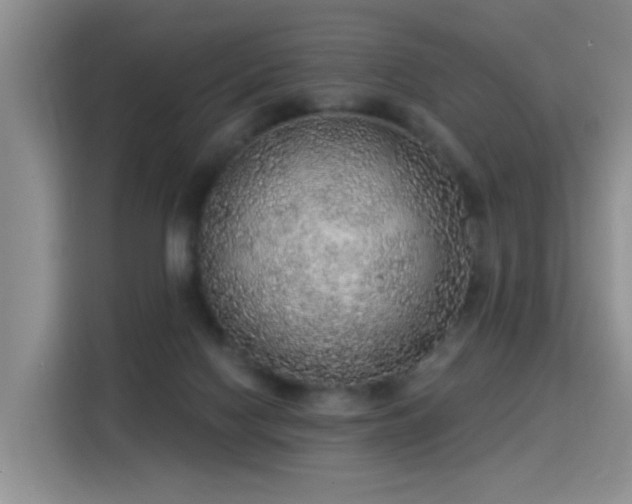 X0000115360074200911101205