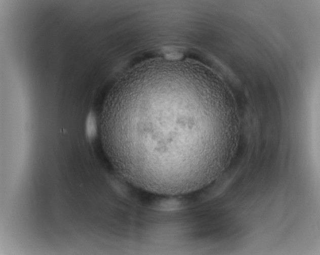 X0000115360075200911101205