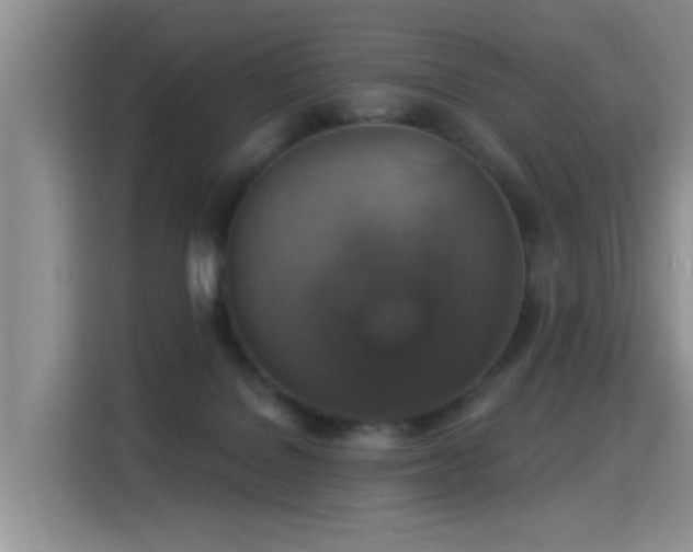 X0000115360076200911101205