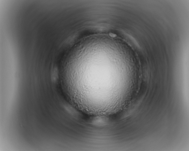 X0000115360077200911101205
