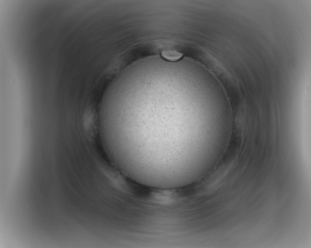 X0000115360079200911101205