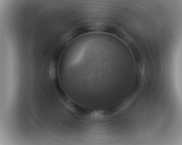 X0000115360080200911101205