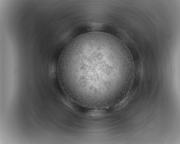 X0000115360082200911101205