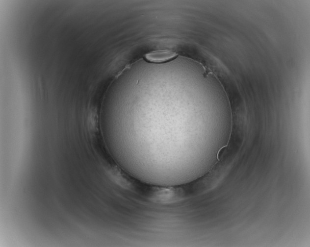 X0000115360083200911101205