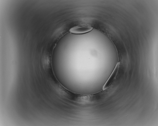 X0000115360084200911101205