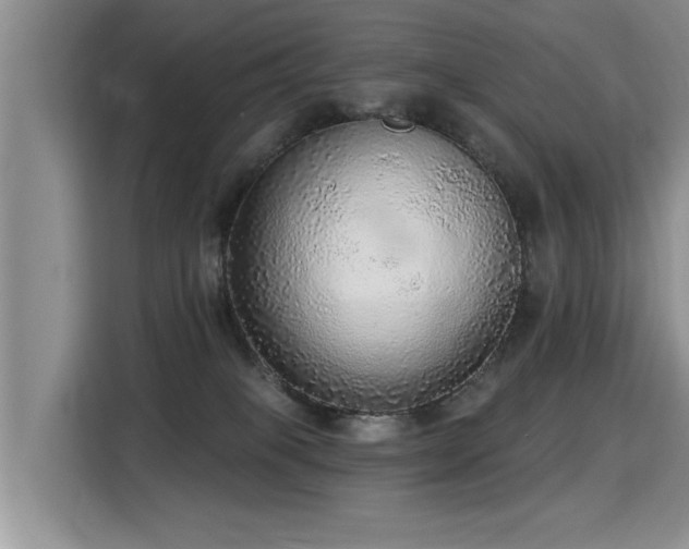 X0000115360085200911101205