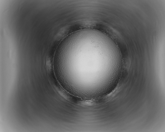 X0000115360086200911101205
