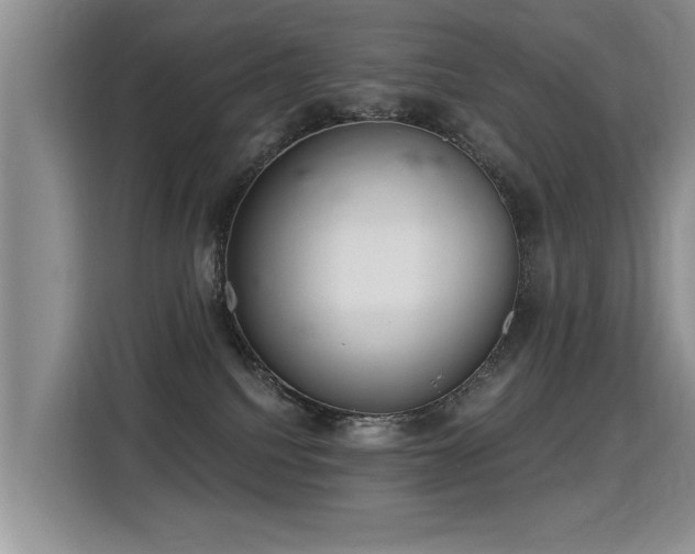 X0000115360088200911101205