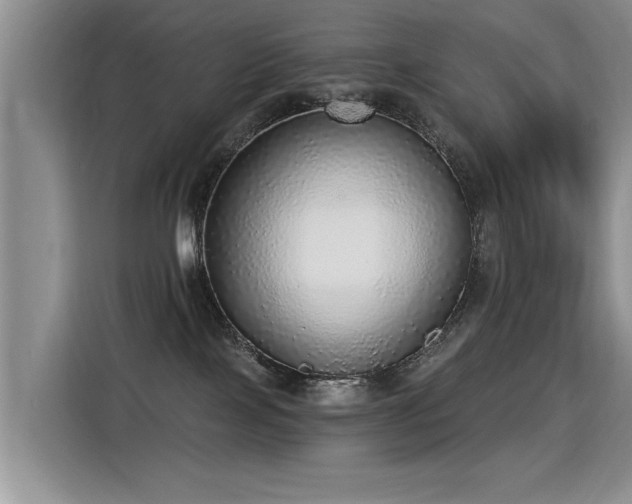 X0000115360089200911101205