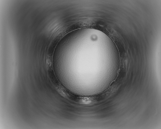 X0000115360091200911101205