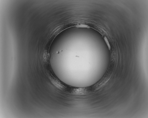X0000115360092200911101205