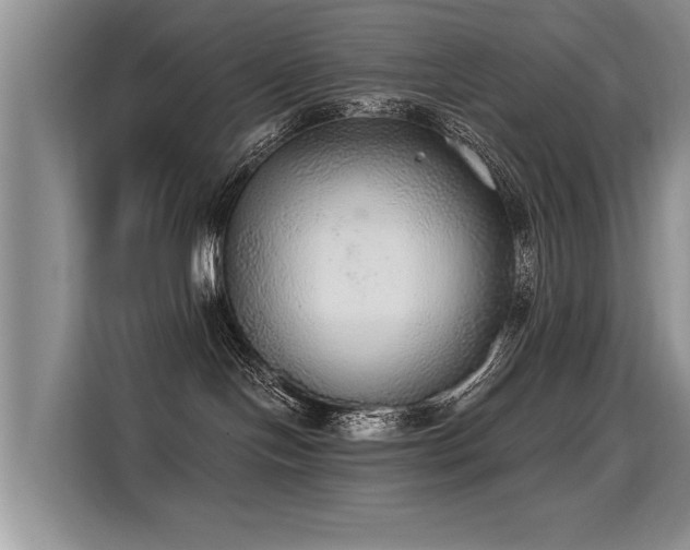 X0000115360094200911101205