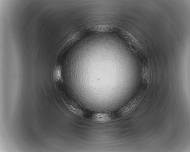 X0000115360095200911101205